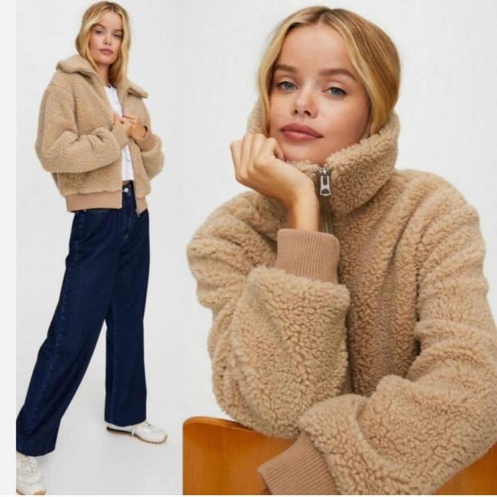 Aritzia Wilfred teddy coat
